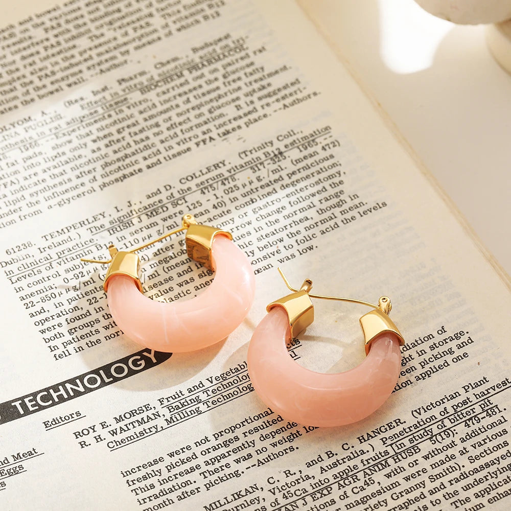 New Trendy Resin Acrylic Chunky Round Hoop Earrings for Women Vintage