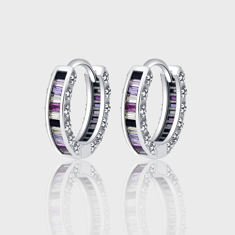 S925 Sterling Silver Zircon Rainbow Earrings